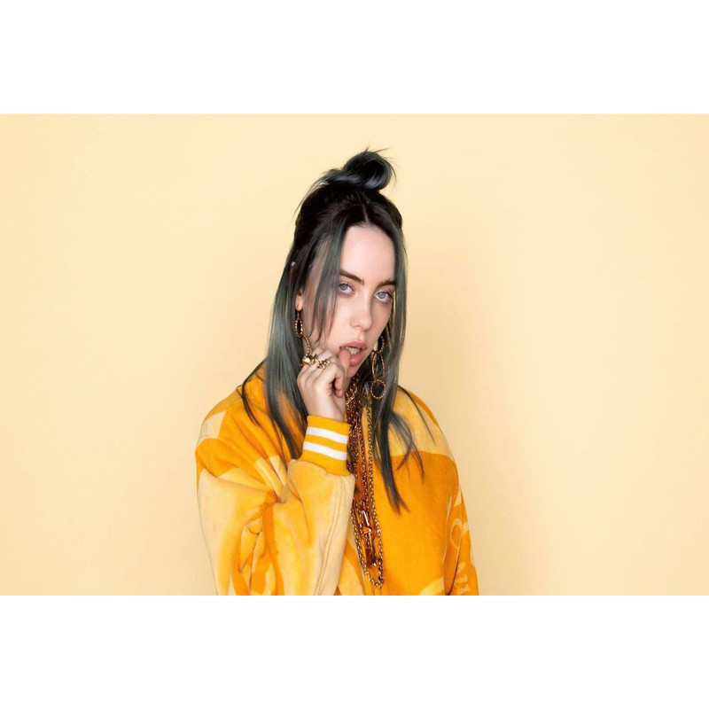 تابلو شاسی مدل خواننده بیلی آیلیش کد T5591