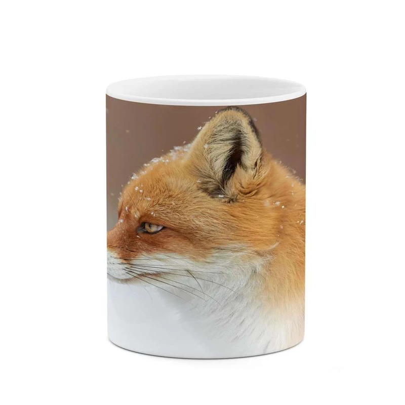 ماگ کاکتی مدل روباه کد mgh14309