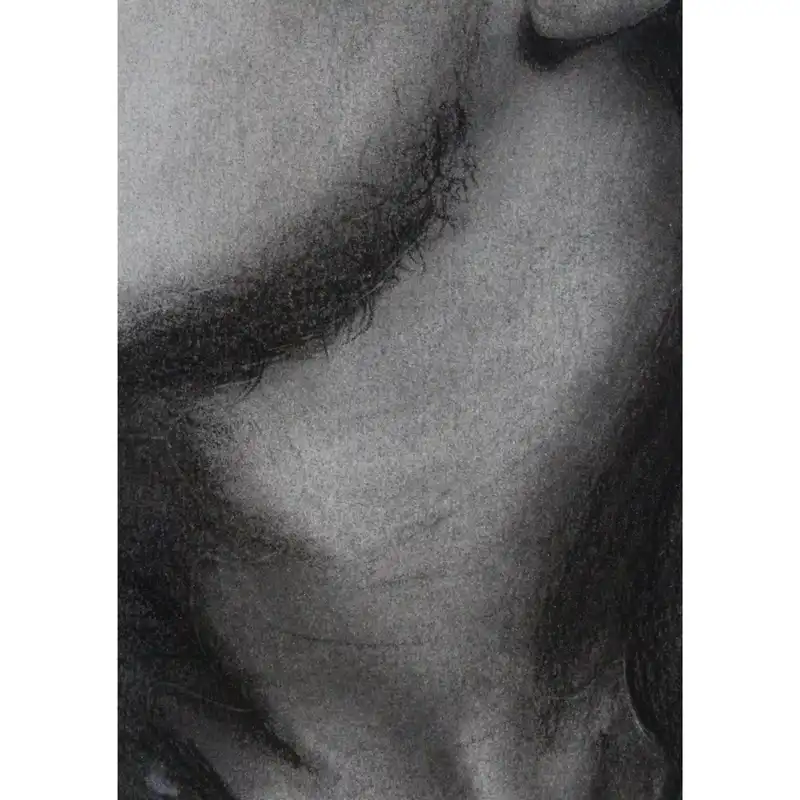 نقاشی سیاه قلم مدل لئوناردو دیکاپریو کد 01