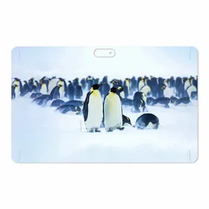 MAHOOT Penguin Cover Sticker for GLX W11 Plus