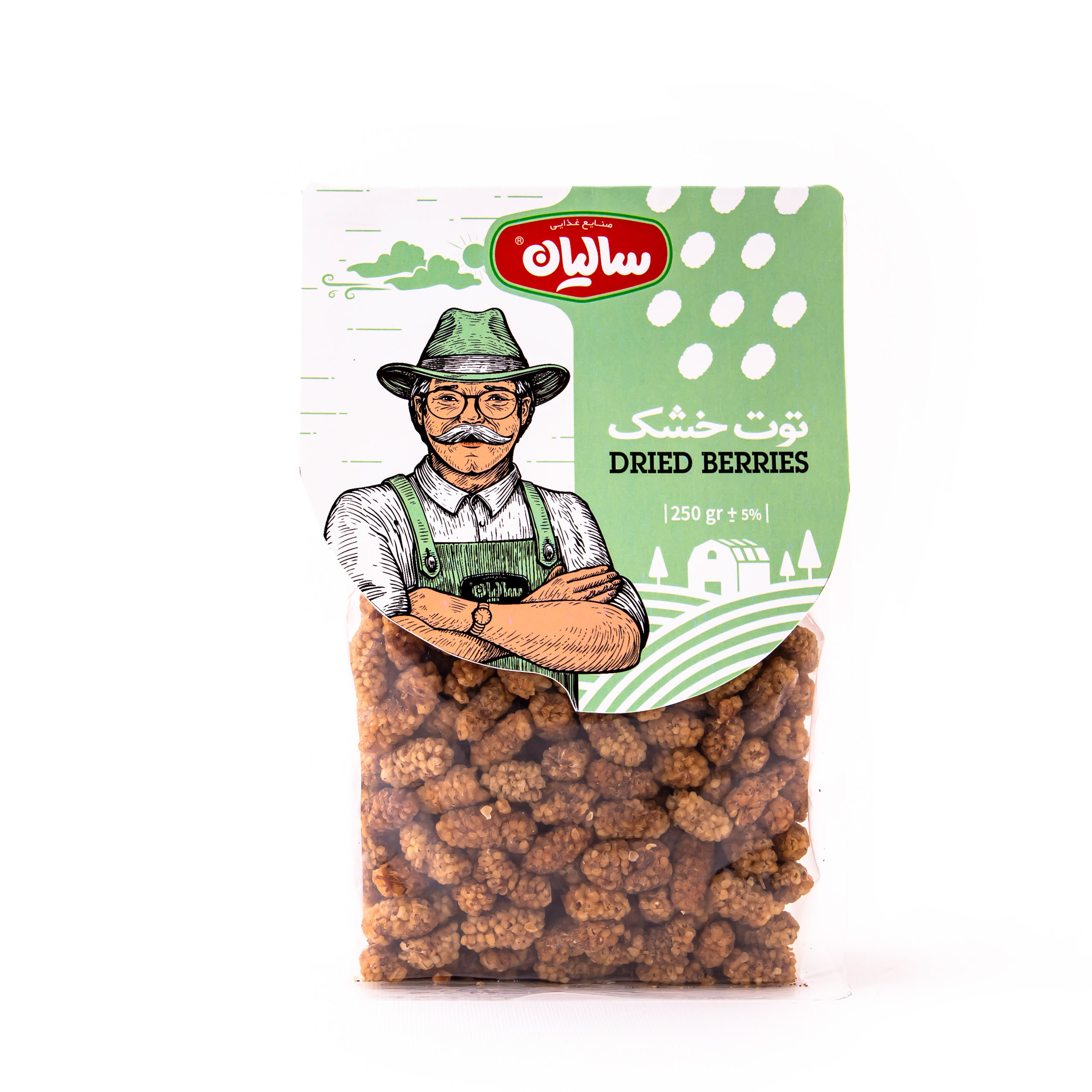 توت خشک صنایع غذایی سالیان - 250 گرم