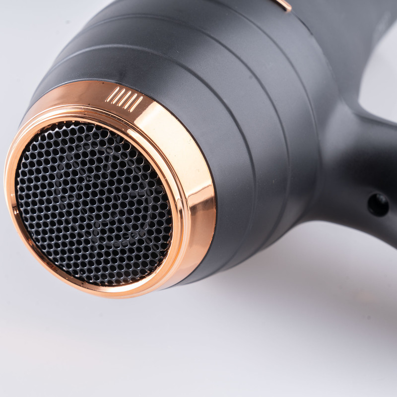 سشوار حرفه ای لایچی مدل L-9010