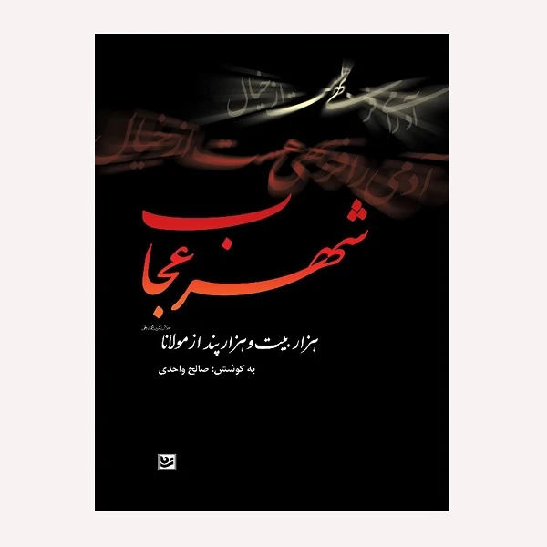 كتاب شهر عجايب اثر صالح واحدي انتشارات گويا