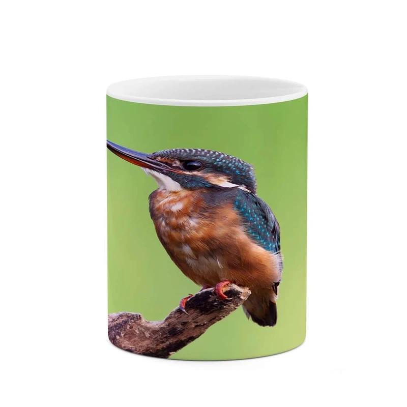 ماگ کاکتی مدل پرنده کد mgh10897