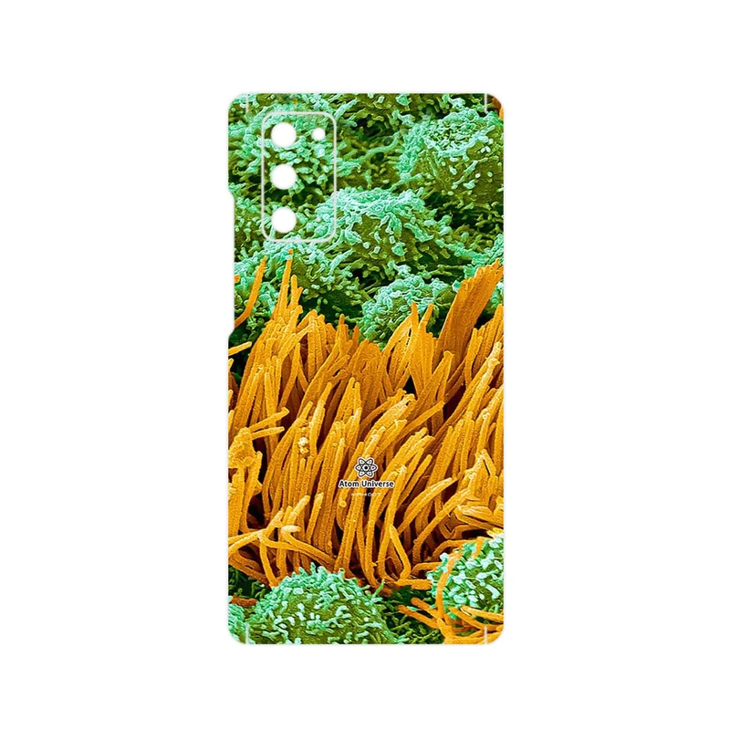 برچسب پوششی ماهوت مدل Atom Universe 6 مناسب برای گوشی موبایل سامسونگ Galaxy Note 20