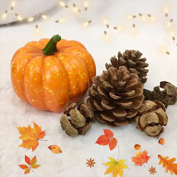 میوه تزیینی مدل کدو تنبل کد 227