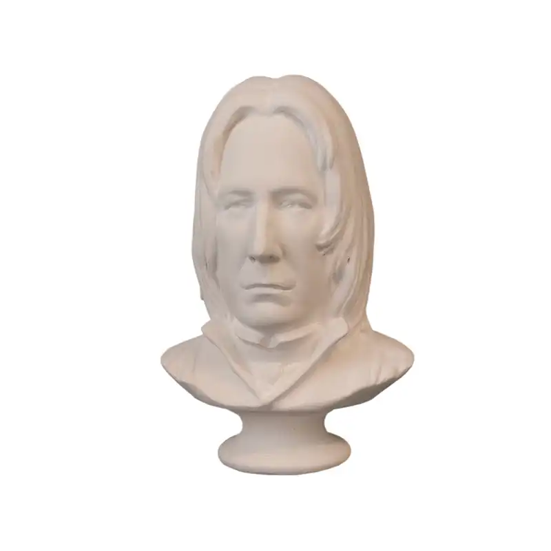 تندیس مدل هری پاتر طرح اسنیپ