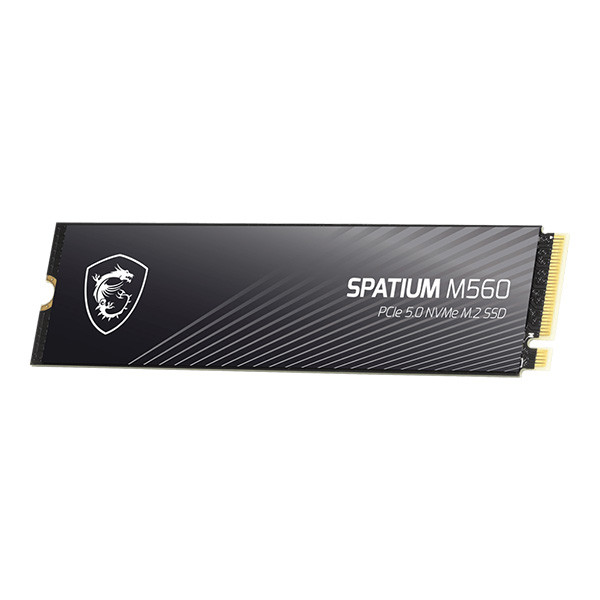 اس اس دی اینترنال PCIe 5.0 ام اس آی مدل  MSI SPATIUM M560  ظرفیت یک ترابایت