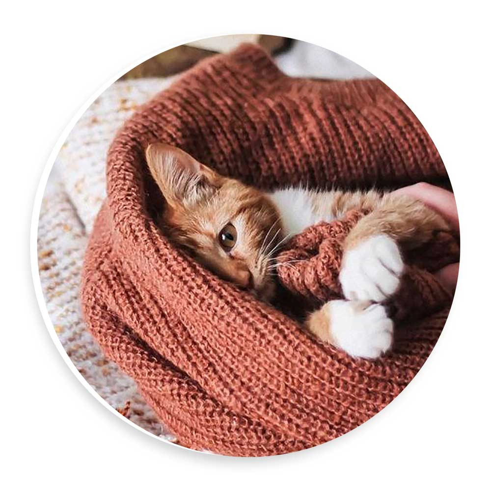 دیوارکوب طرح گربه و بافتنی مدل wtb334