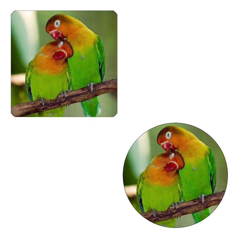 مگنت طرح دو طوطی کد M1 به همراه زیر لیوانی