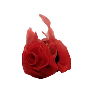 کلیپس مو دخترانه مدل پر