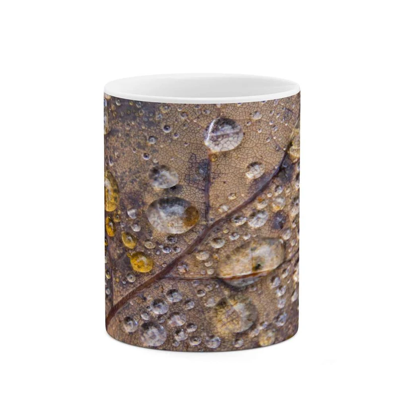 ماگ کاکتی مدل برگ کد mgh14358