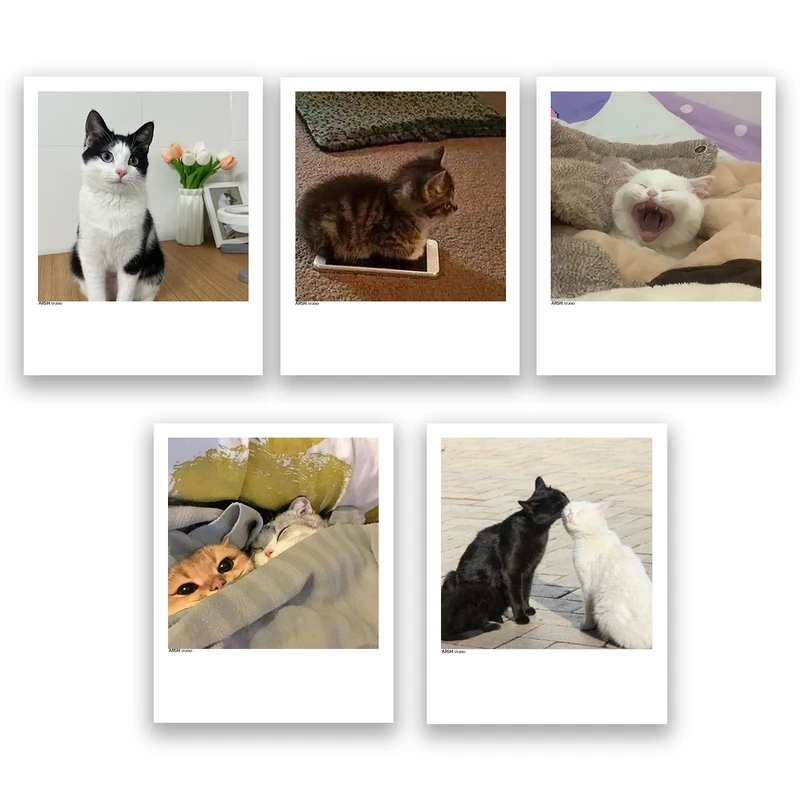 آویز تزیینی عرش مدل فانتزی گربه بامزه کد Asa340 مجموعه پنچ عددی