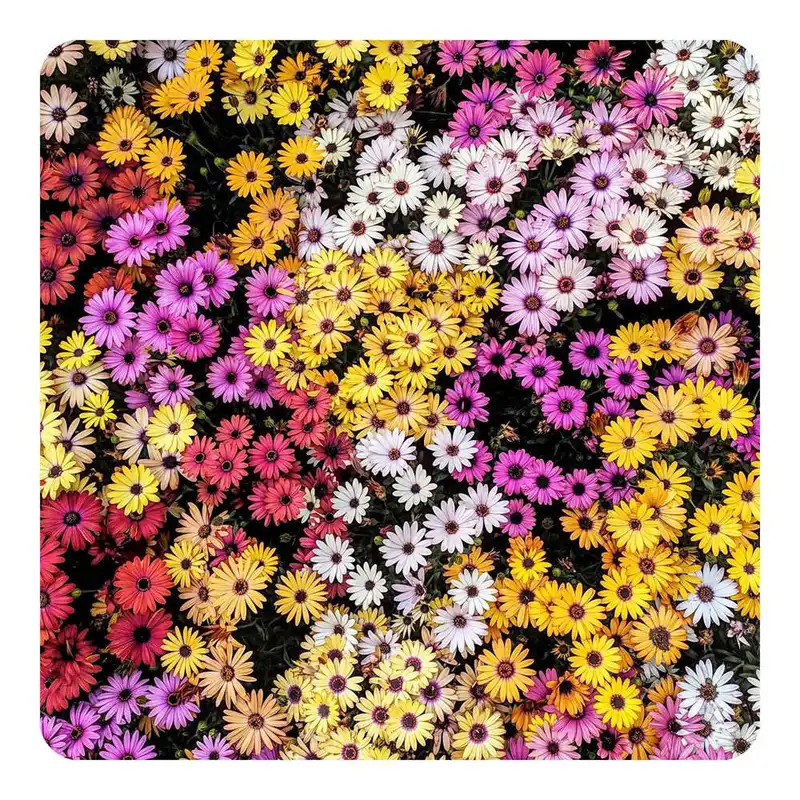 مگنت طرح گل مدل mg10201