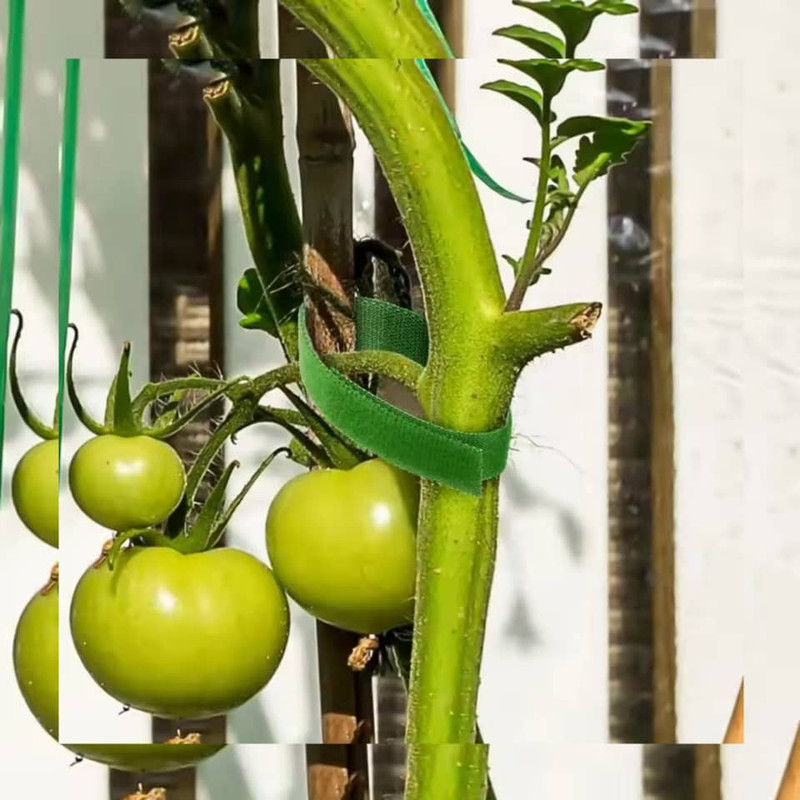 قیم نگهدارنده گیاه مدلa-1200rr