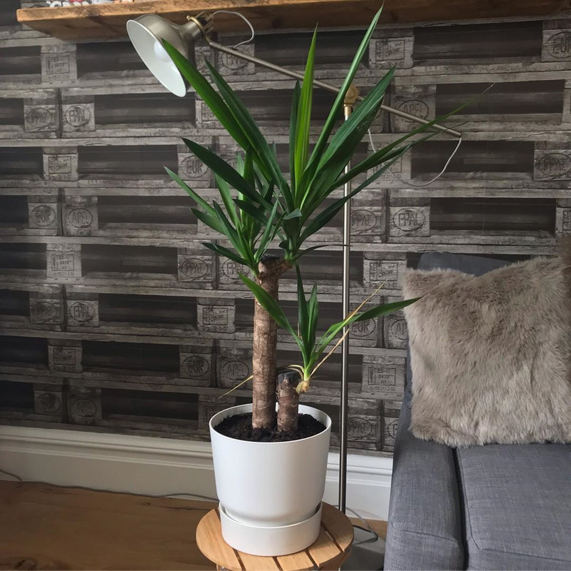 گلدان مدل GV25 گلدان مدل GV25