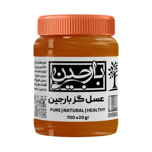 عسل گز عموعطار بارجین _ 700 گرم  