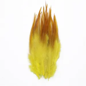 پر دریمکچر مدل rooster بسته ۱۰ عددی کد Y-01