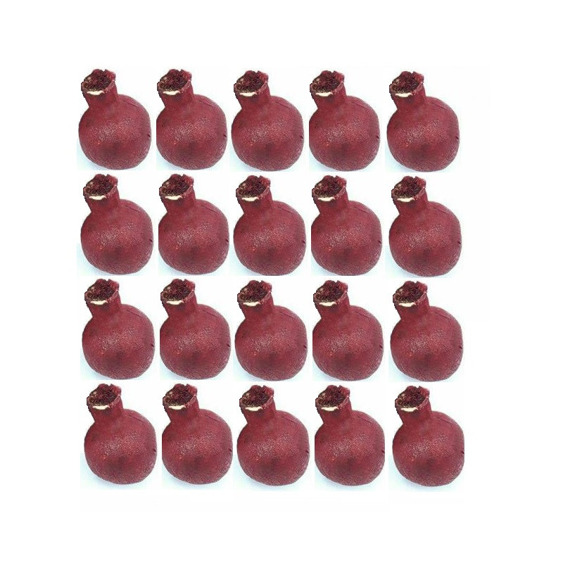 دکوری طرح انار خشک کد S-2CM بسته 20 عددی