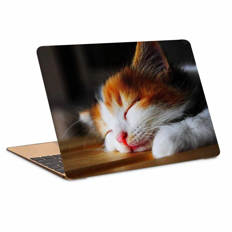 استیکر لپ تاپ طرح cats wallpapersکد N-85 مناسب برای لپ تاپ 15.6 اینچ