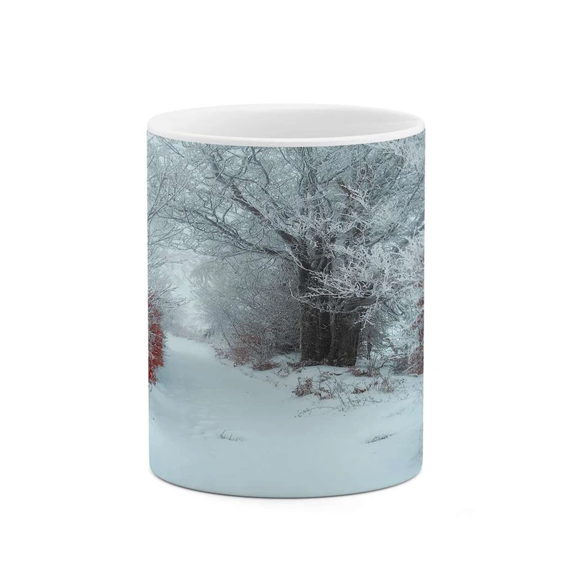 ماگ کاکتی مدل منظره برفی کد mgh14966