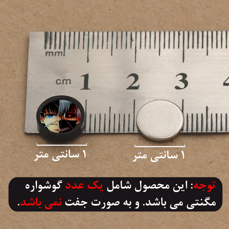 پیرسینگ گوش ناکسیگو مدل شب تاب طرح Tokyo Ghoul کد PM6969