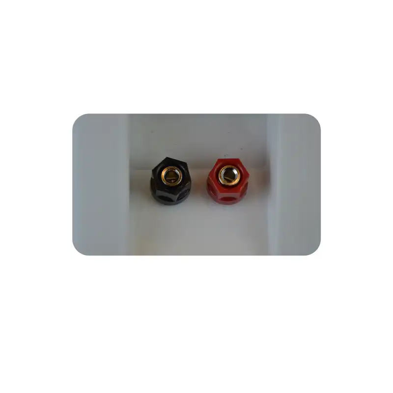 بلندگو دكوراتيو زيكو مدل WS-65T