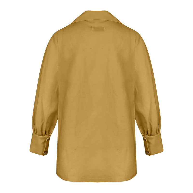 شومیز آستین بلند زنانه مدل ZZR55 رنگ خردلی