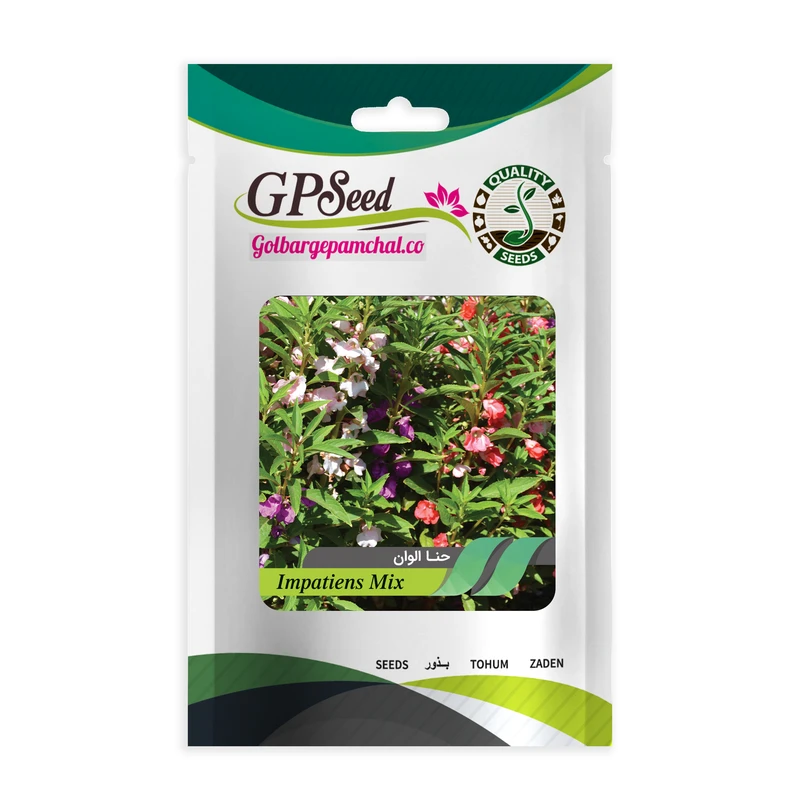 بذر گل حنا الوان گلبرگ پامچال کد GPF-045