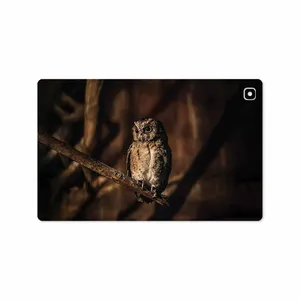 MAHOOT Owl Cover Sticker for Samsung Galaxy Tab A7 10.4 LTE 2020 T505