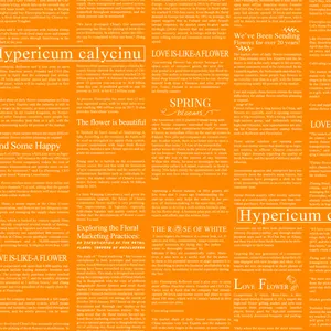  کاغذ کادو طرح روزنامه ای کد 235.1 بسته 25 عددی