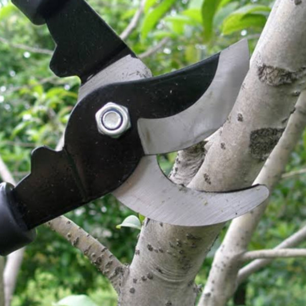 قیچی شاخه زن مدل G1 قیچی شاخه زن مدل G1