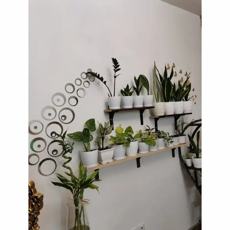 آینه دکوراتیو مدل حلقه ها