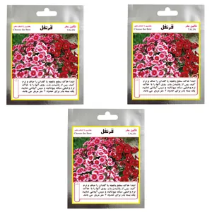 بذر گل قرنفل تالین بذر مدل TAL-022 مجموعه 3 عددی