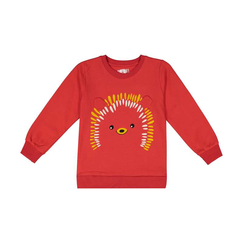 سویشرت پسرانه سون پون مدل 1391610-72