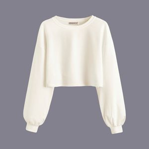 کراپ‌ تی‌شرت آستین بلند زنانه آرمادیا مدل کبریتی فلورانس کد IV04