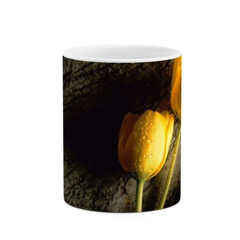 ماگ کاکتی مدل گل کد mgh12038