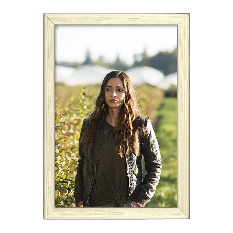 تابلو خندالو طرح سریال صد نفر The 100 کد 28580