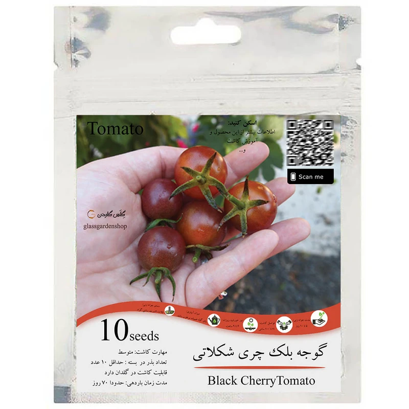 بذر گوجه بلک چری شکلاتی گیلاسی قهوه ای مدل GL10