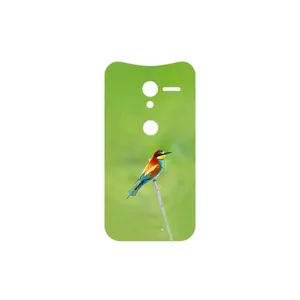 MAHOOT European bee-eater Cover Sticker for Motorola Moto X