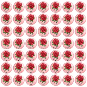 پیکسل خندالو مدل جشن الفبای کلاس اول ر مثل رز کد 8796 مجموعه 49 عددی