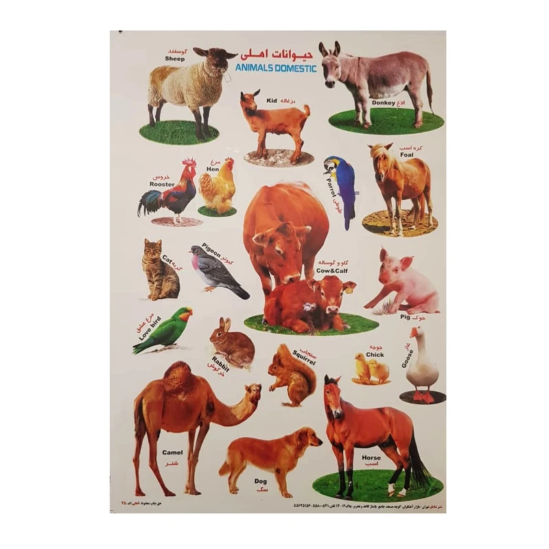 برچسب مدل حیوانات اهلی کد BA7
