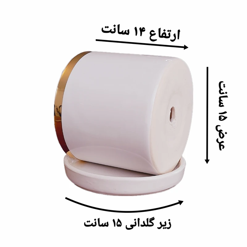 عکس شماره 3 : گلدان سرامیکی مدل rose کد s2024 به همراه زیر گلدانی