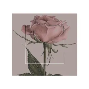 استیکر کلید و پریز مدل گل کد 0370
