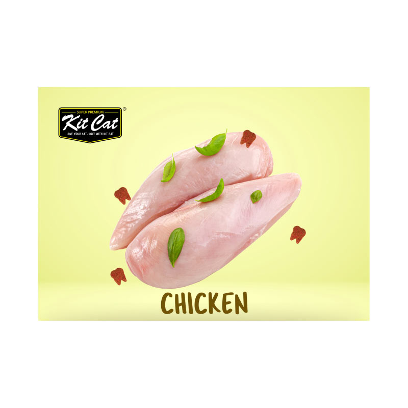 تشویقی گربه کیت کت مدل چیپسی مرغ وزن 20 گرم
