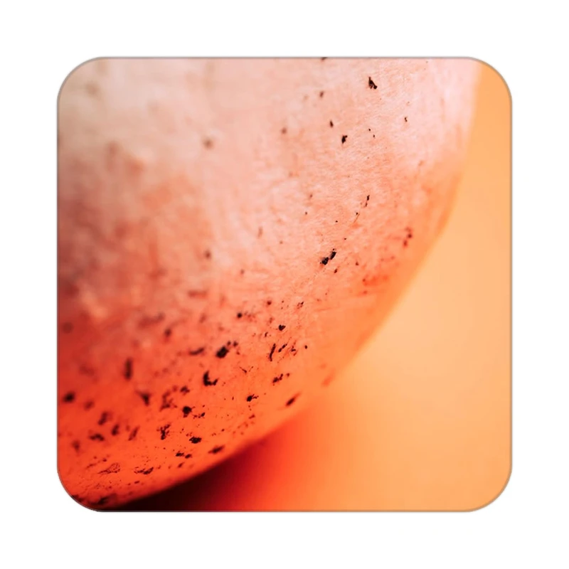 زیر لیوانی کاکتی طرح میوه مدل mp21573