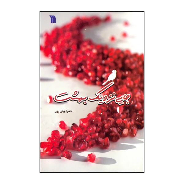 کتاب جایی نزدیک بهشت اثر حمزه ولیپور انتشارات سروش