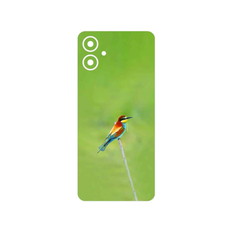 برچسب پوششی ماهوت مدل European bee-eater مناسب برای گوشی موبایل سامسونگ Galaxy A06