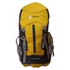 کوله پشتی کوهنوردی 45 لیتری گلدن بیر مدل L45