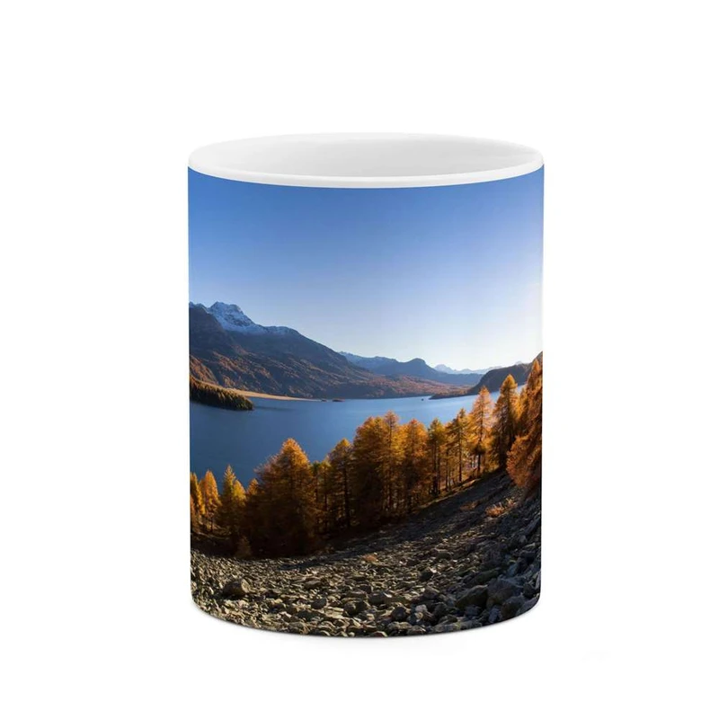 ماگ کاکتی مدل منظره کد mgh16349